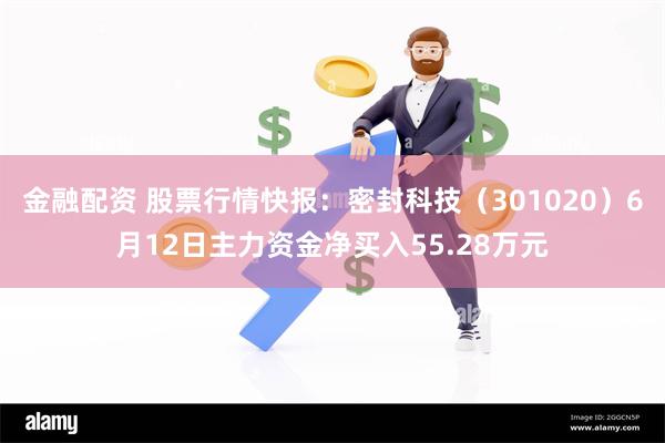 金融配资 股票行情快报：密封科技（301020）6月12日主力资金净买入55.28万元