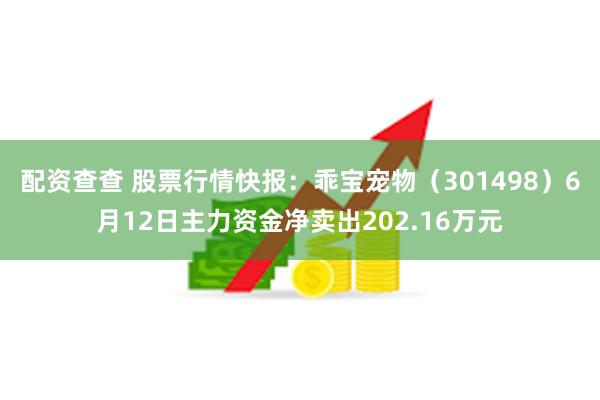 配资查查 股票行情快报：乖宝宠物（301498）6月12日主力资金净卖出202.16万元