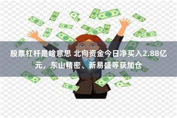 股票杠杆是啥意思 北向资金今日净买入2.88亿元，东山精密、新易盛等获加仓