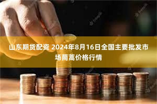 山东期货配资 2024年8月16日全国主要批发市场茼蒿价格行情