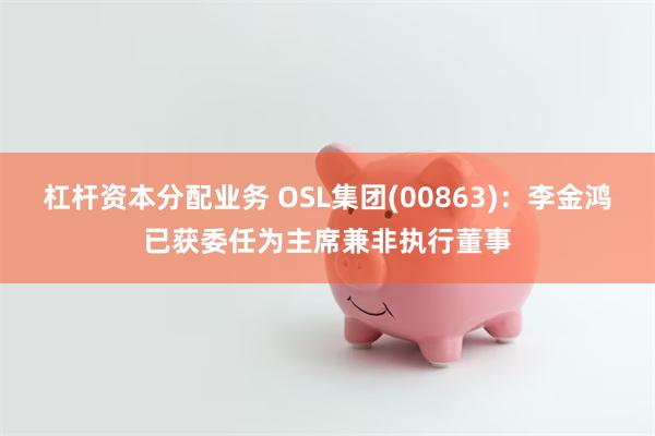 杠杆资本分配业务 OSL集团(00863)：李金鸿已获委任为主席兼非执行董事