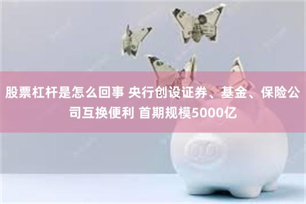 股票杠杆是怎么回事 央行创设证券、基金、保险公司互换便利 首期规模5000亿