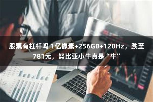 股票有杠杆吗 1亿像素+256GB+120Hz，跌至781元，努比亚小牛真是“牛”