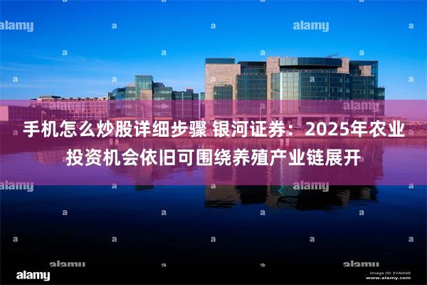 手机怎么炒股详细步骤 银河证券：2025年农业投资机会依旧可围绕养殖产业链展开