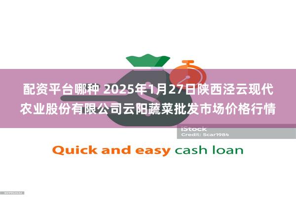 配资平台哪种 2025年1月27日陕西泾云现代农业股份有限公司云阳蔬菜批发市场价格行情