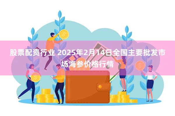 股票配资行业 2025年2月14日全国主要批发市场海参价格行情