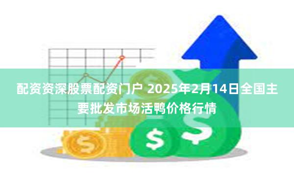 配资资深股票配资门户 2025年2月14日全国主要批发市场活鸭价格行情