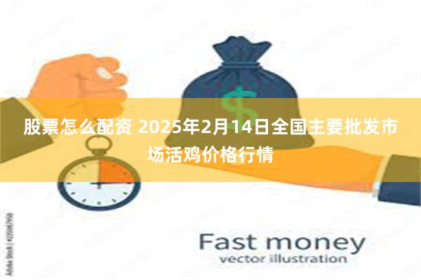 股票怎么配资 2025年2月14日全国主要批发市场活鸡价格行情