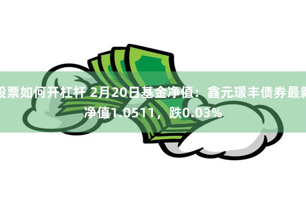 股票如何开杠杆 2月20日基金净值：鑫元璟丰债券最新净值1.0511，跌0.03%